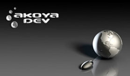 logo terms of use akoya-dev